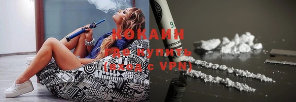 стафф Новодвинск