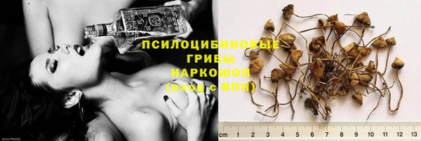 скорость Новозыбков