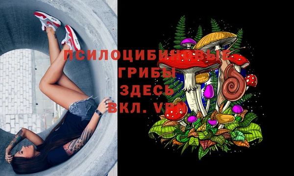 2c-b Нефтегорск