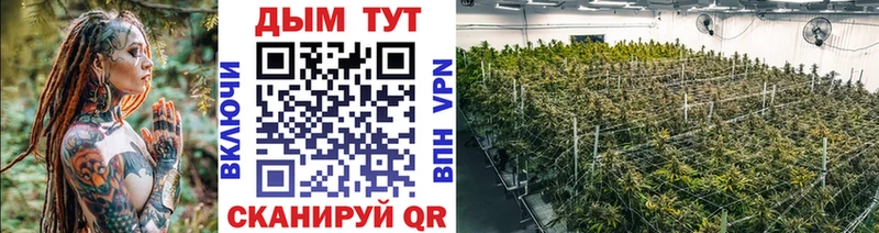 где купить наркоту  Новомичуринск  Марихуана LSD WEED 